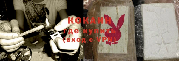 дурь Дмитриев