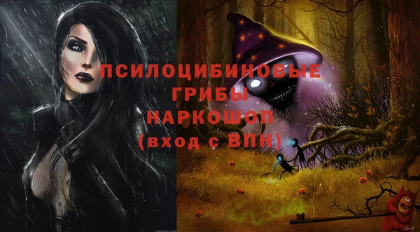 крисы Дмитровск