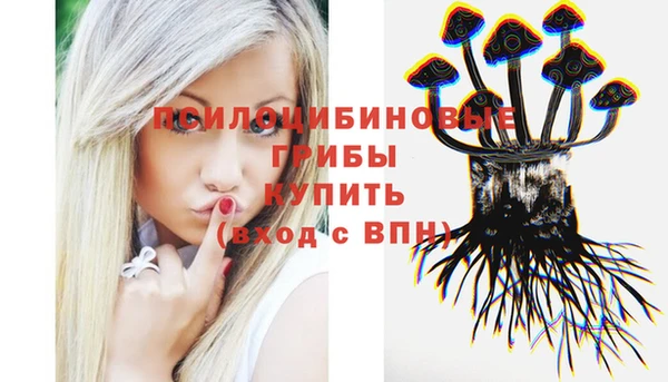 крисы Дмитровск