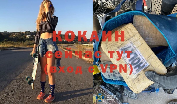 дурь Дмитриев