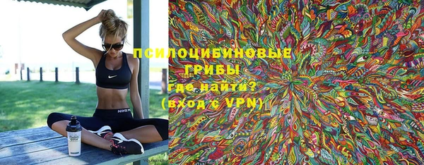 гашик Гусиноозёрск