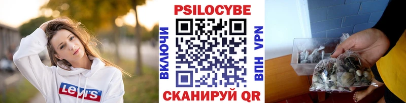 Псилоцибиновые грибы мухоморы  дарнет шоп  Иваново 